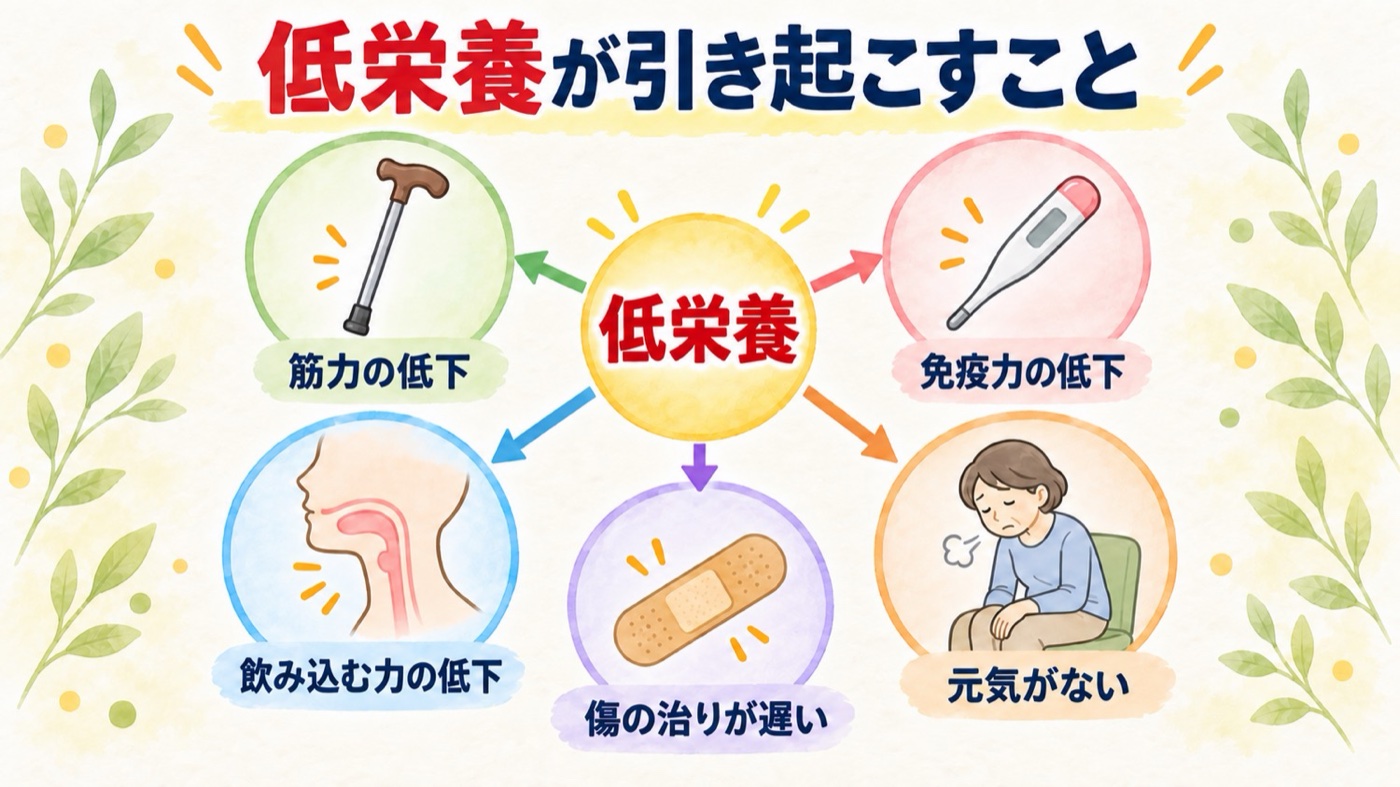 低栄養が引き起こすこと。筋力の低下、免疫力の低下、飲み込む力の低下、傷の治りが遅い、元気がない
